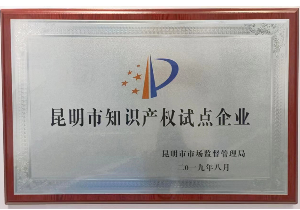 昆明市知识产权试点企业