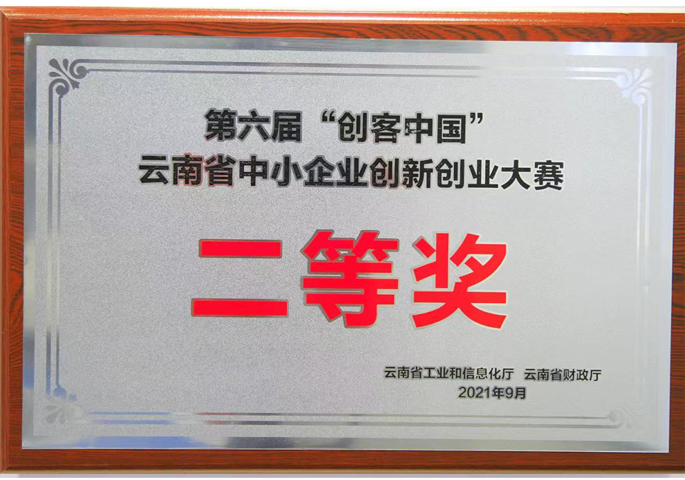 云南省中小企业创新创业大赛二等奖